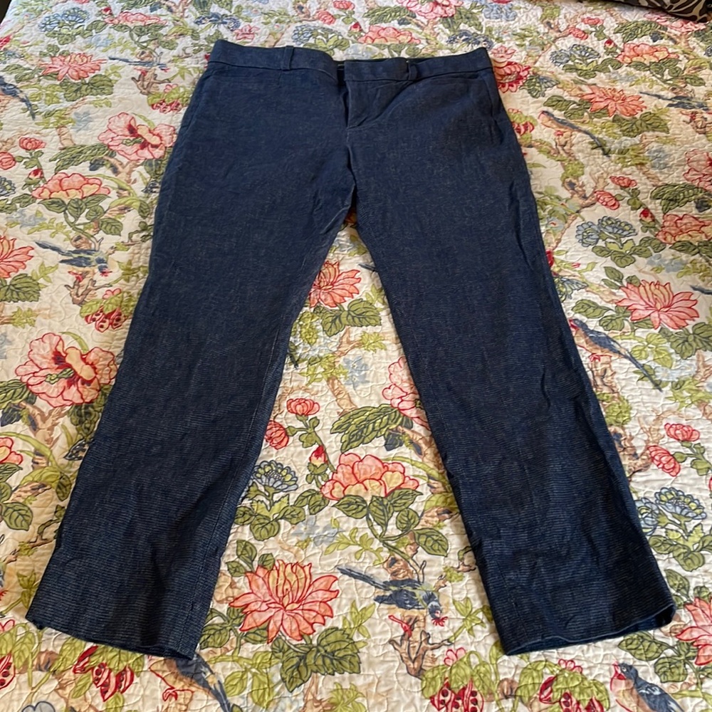 Banana republic Sloan blue pants size 10